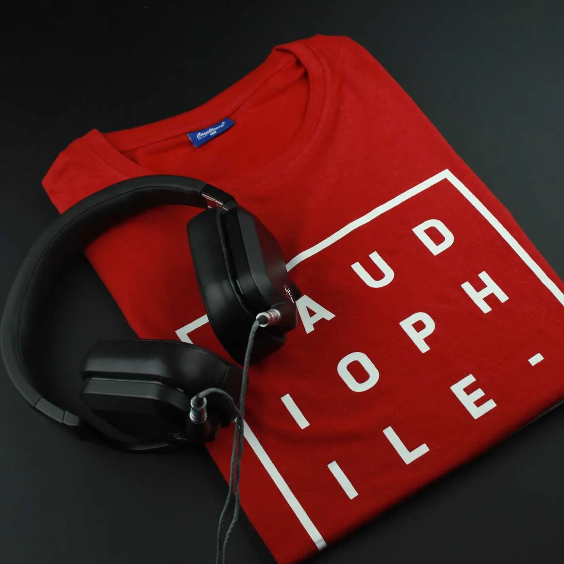 Professed Audiophile T-Shirt